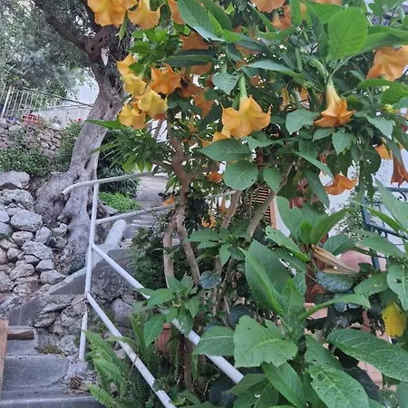 Antica Plagianum Praiano