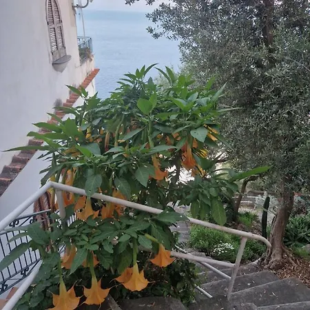 Antica Plagianum Bed & Breakfast