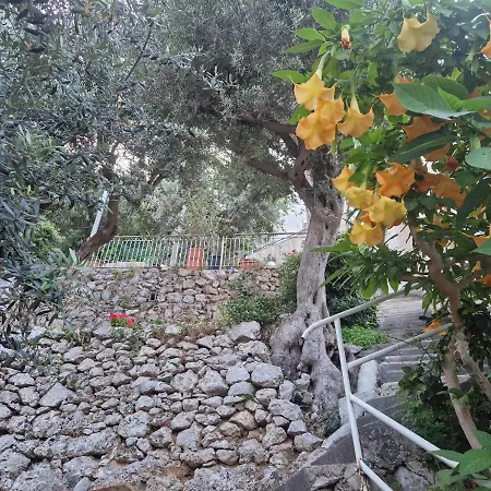 Antica Plagianum *